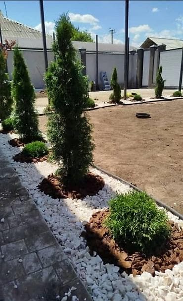 Услуги по ландшафтному озеленению и устройству декоративных