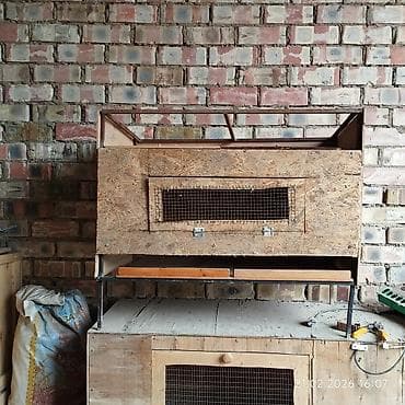 ат баши: Продаю брудер — 2