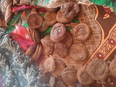 ✨ Сорт Сникерс: Самый сладкий и мясистый орук, который по вкусу