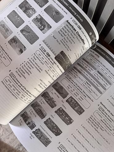 inside out elementary: Комплект учебников English Plus 1 (Second Edition), Oxford University — 3