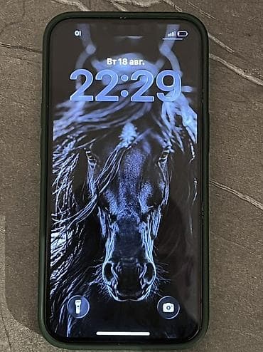 karcher puzzi: IPhone 13, Б/у, 128 ГБ, Черный, Чехол, 100 % — 3
