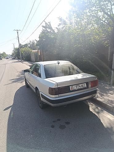 nardo grey: Audi 100: 1991 г., 2.3 л, Механика, Бензин, Седан — 3