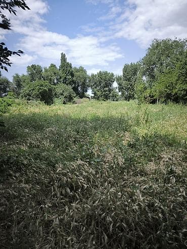 под бизнес ош: 24 соток, Для сельского хозяйства, Красная книга — 2