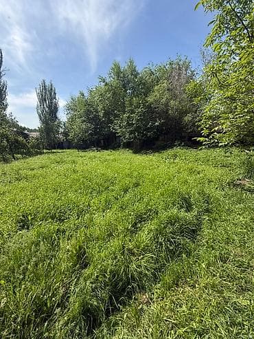 старий талчок: 10 соток, Для бизнеса, Договор купли-продажи, Красная книга — 1