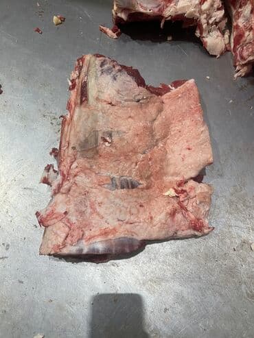 Говядина : Филе, Более 10 кг, Антрекот, Платная доставка