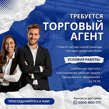 торговый представитель мерчендайзер: Требуется Торговый агент, График: Шестидневка, Без опыта, % от продаж, Полный рабочий день — 1