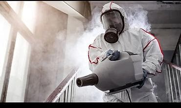 офис мебель: Дезинсекция от тараканов Профессиональная обработка квартир, домов — 2