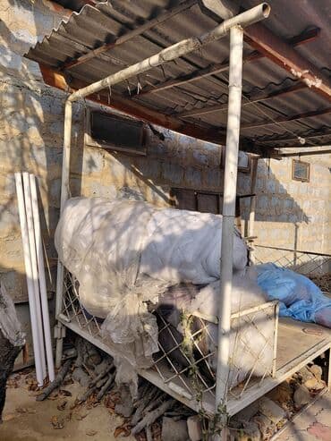 Садовые инструменты и инвентарь: Тапчан — 2