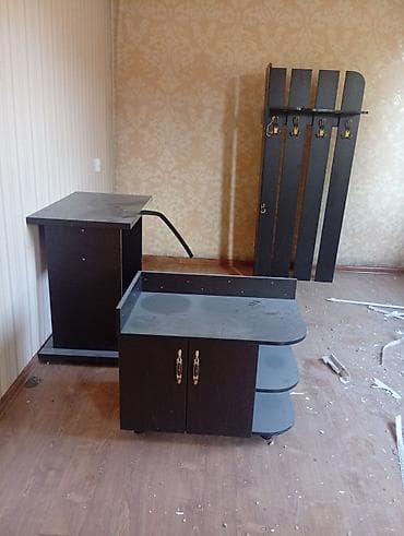 Вытишкасы бар жеткирүү бекер — 2