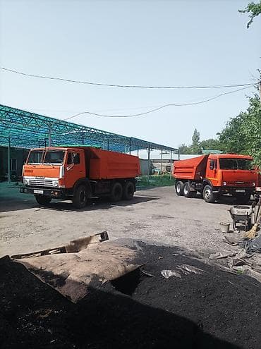 Кум Ивановка эленген Шыбака жана клаткага жарайт даяр эленген толко