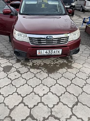 колор: Subaru Forester: 2009 г., 2.5 л, Автомат, Бензин, Внедорожник — 5