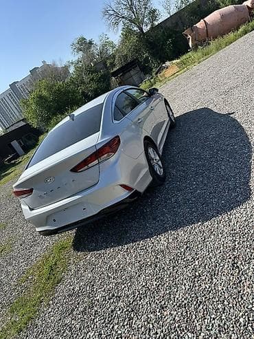 катушка хундай соната: Hyundai Sonata: 2021 г., 2 л, Автомат, Газ, Седан — 5