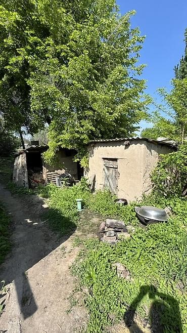 участк: Продается участок в селе Алексеевка 19 соток Большая часть участка — 3