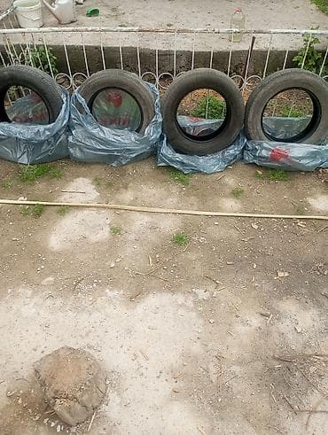 r 21: 205/65/16 Летние шины, комплект из 4 шт. две пары - Тип: легковые — 8