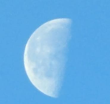 google pixel 3a xl: Google Pixel 7 Pro, Б/у, 128 ГБ, цвет - Черный, eSIM, 2 SIM — 9