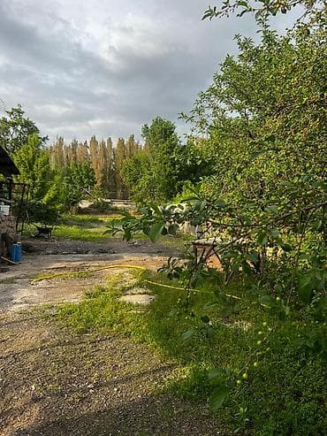 селхоз земля: Дом с участком и хозпостройками по первой линии! Ул Ленина — 1