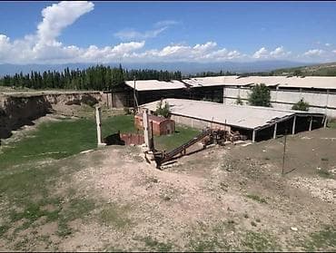 Завод, 60000 м²