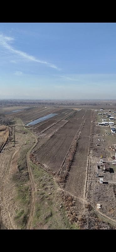 куплю участок кут: 300 соток, Для бизнеса, Договор дарения — 3