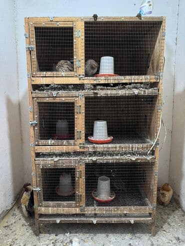Продам клетку