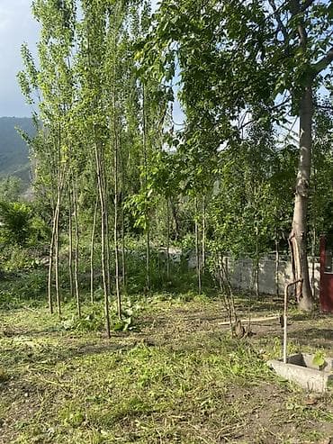 комнаты иссык: Продаётся участок с летним домиком в живописном горном месте. 8сотык — 5