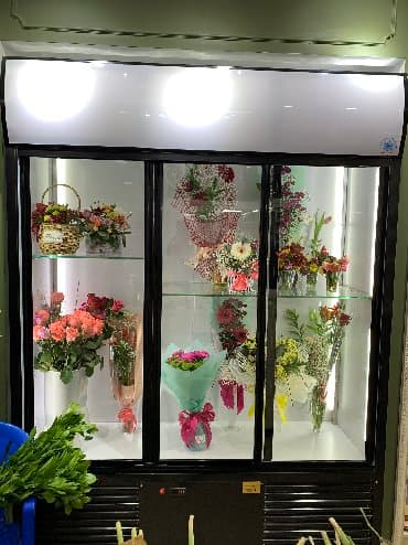 холодильник для мяса: Кондитерские, Для молочных продуктов, Для напитков, Новый — 6