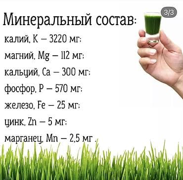 жылга сай арча бешик: Витаминдер комплекси, Иммунитетти бекемдөө үчүн, Универсалдуу, Суюктук — 3