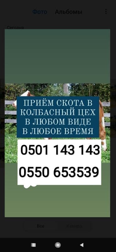 домик для животных: Куплю | Лошади, кони, Коровы, быки, Другие с/х животные | Круглосуточно, Любое состояние, Забитый — 1