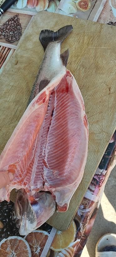 Полуфабрикаты: Продаю форель холодного копчение — красная рыба домашнего посола - — 5