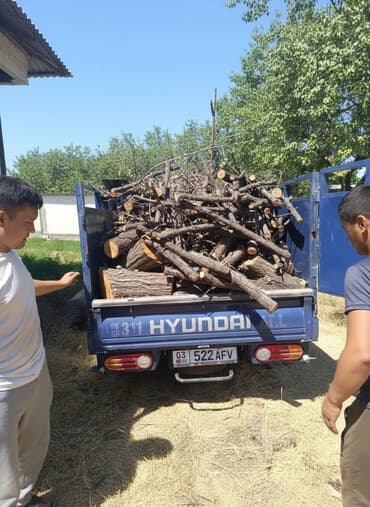 Дрова Платная доставка