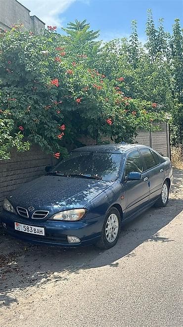 Nissan Primera: 2001 г., 2 л, Автомат, Бензин, Седан