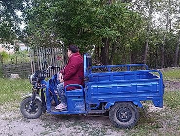 трицикл с кабиной бишкек: Легкий грузовик — 1