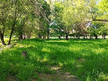 большой гараж: 12 соток, Для бизнеса, Красная книга, Договор купли-продажи — 1
