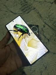 самсунг z fold 4: Samsung Galaxy Z Fold 6, Колдонулган, 256 ГБ, түсү - Күмүш, 2 SIM, eSIM — 7