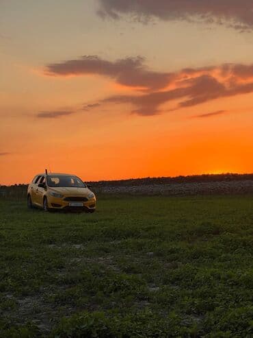 Ford Focus: 2016 г., 1.6 л, Механика, Бензин, Универсал