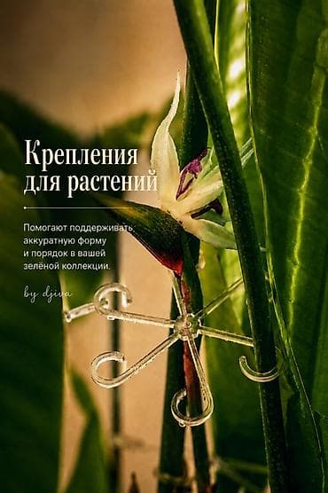 уход за цветами: Набор аксессуаров для комнатных растений by djiva - Полотенце для — 4