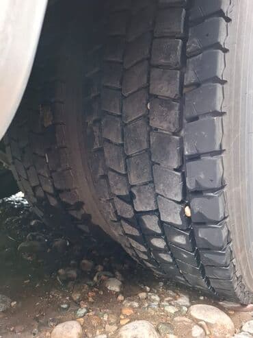 runx alex: Сүйрөгүч, Volvo, 2021 г., Прицепсиз — 7