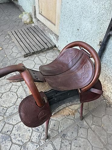 брама гигант: Продаю | Жеребец | Кара Жорго | Конный спорт — 6