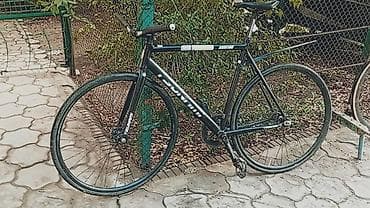 speedone frame: Городской велосипед, Рама L (172 - 185 см), Б/у — 1