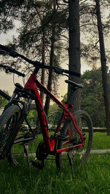 купить велосипед с большими шинами: Горный велосипед (AXIS) - Рама: титановая, легкая и прочная — 1