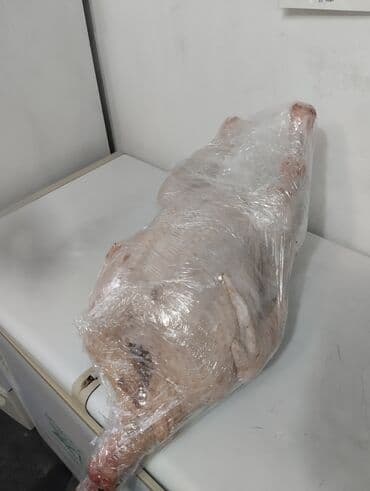 домашние жумуртка: Күрп :, 10 кг ашык — 2