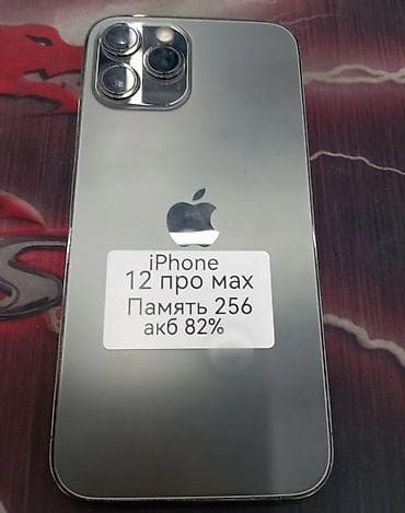 IPhone 12 Pro Max, 256 ГБ, Графит