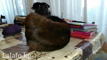 Новая шапка, сибирская норка