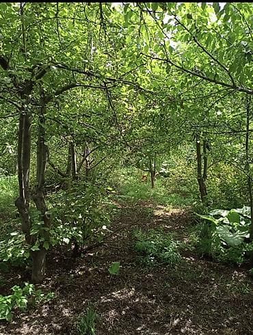 Сниму дом: Продаётся частный дом с участком. - Один основной дом с мансардным — 8