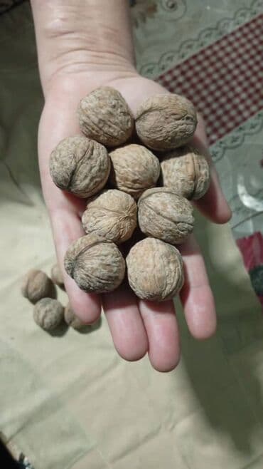 кофе капсулы бишкек: Орехи 95 кг
навопаловка
по всем вопросам пишите в личку! — 1