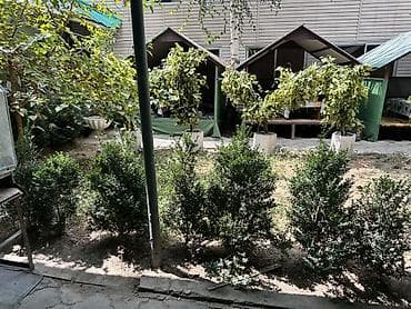 Продажа бизнеса Кафе, Вместе с: Оборудование и мебель at lalafo.kg Продажа бизнеса Кафе, Вместе с: Оборудование и мебель