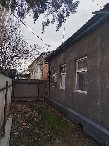 жаны уйлор: Продается дом в г. Кара балта 17,5 соток. Мы посадили осенью новый — 3