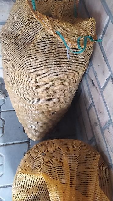 арбуз дыня: Продаю Грецкий орех, урожай текущего сезона. - Чистые, сухие — 2