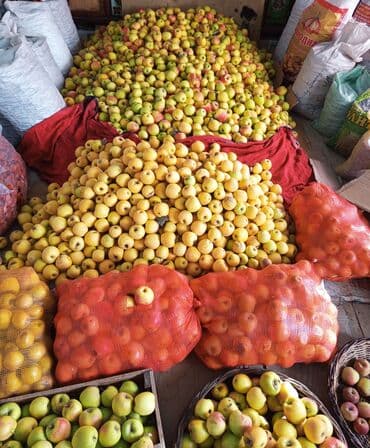 столы и стулья пластиковые для летнего кафе: Алмалар Голден, Дүңүнөн — 2