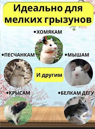 шамал сай: Гамаки подвесные для крыс, хомячков, мышей, песчанок, морских свинок — 6
