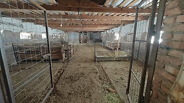 кардиганы мужские: Требуется Скотник, Оплата: Ежемесячно — 7